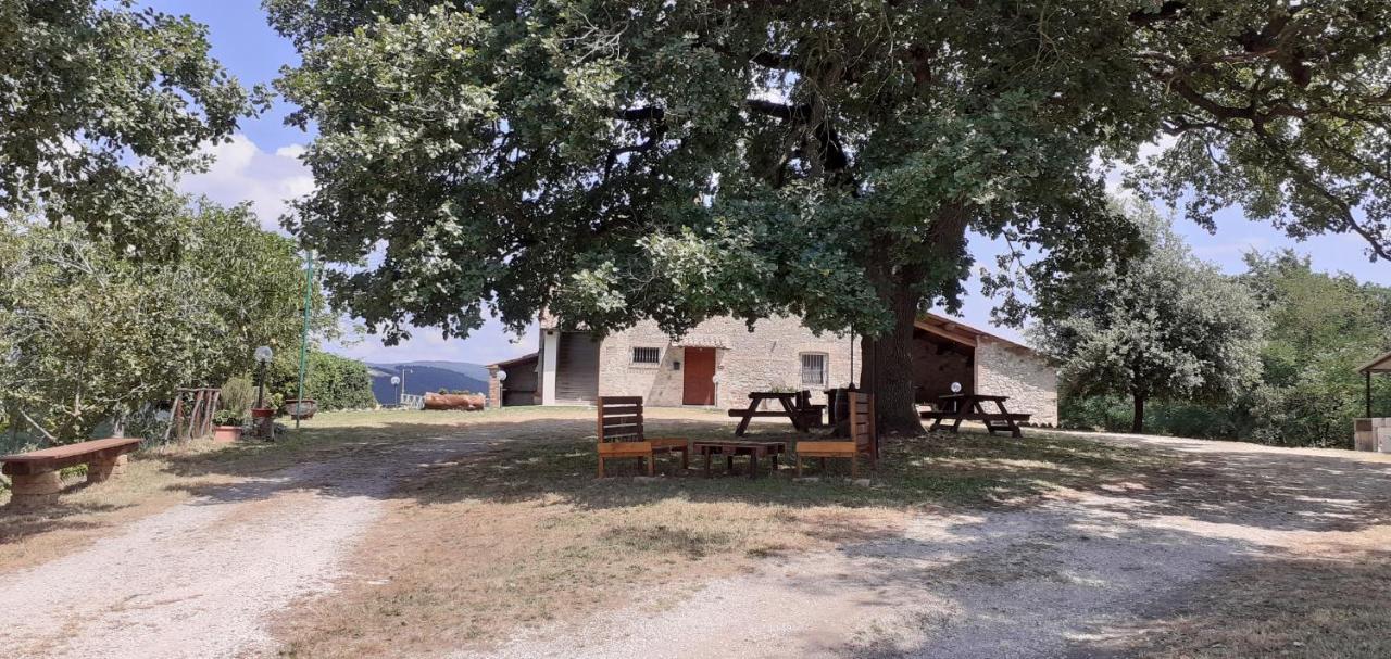 Casale Al Lago Con Piscina E Sauna Corbara  Exterior foto
