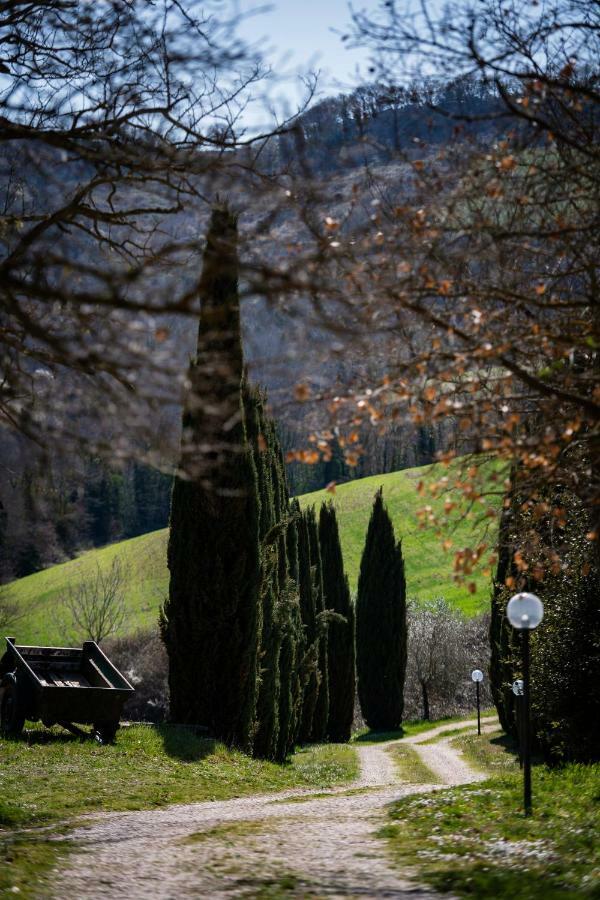 Casale Al Lago Con Piscina E Sauna Corbara  Exterior foto