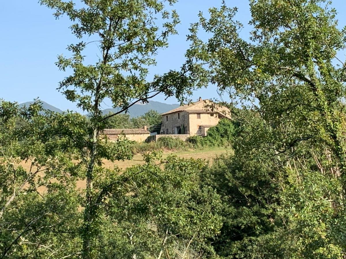 Casale Al Lago Con Piscina E Sauna Corbara  Exterior foto