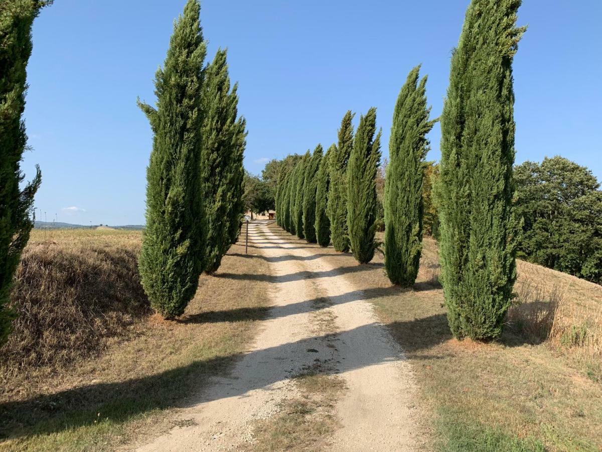 Casale Al Lago Con Piscina E Sauna Corbara  Exterior foto