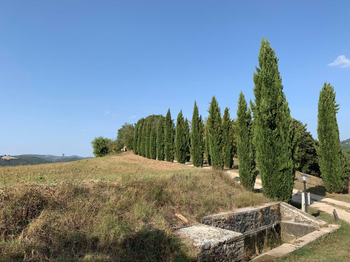 Casale Al Lago Con Piscina E Sauna Corbara  Exterior foto