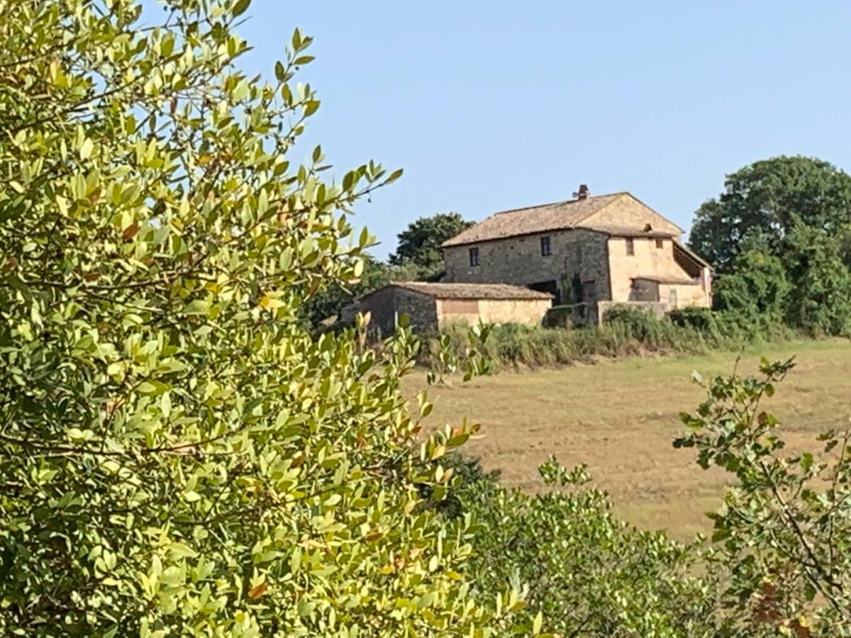 Casale Al Lago Con Piscina E Sauna Corbara  Exterior foto
