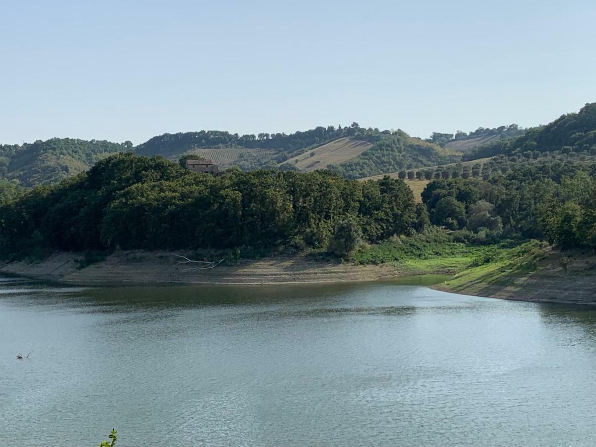 Casale Al Lago Con Piscina E Sauna Corbara  Exterior foto